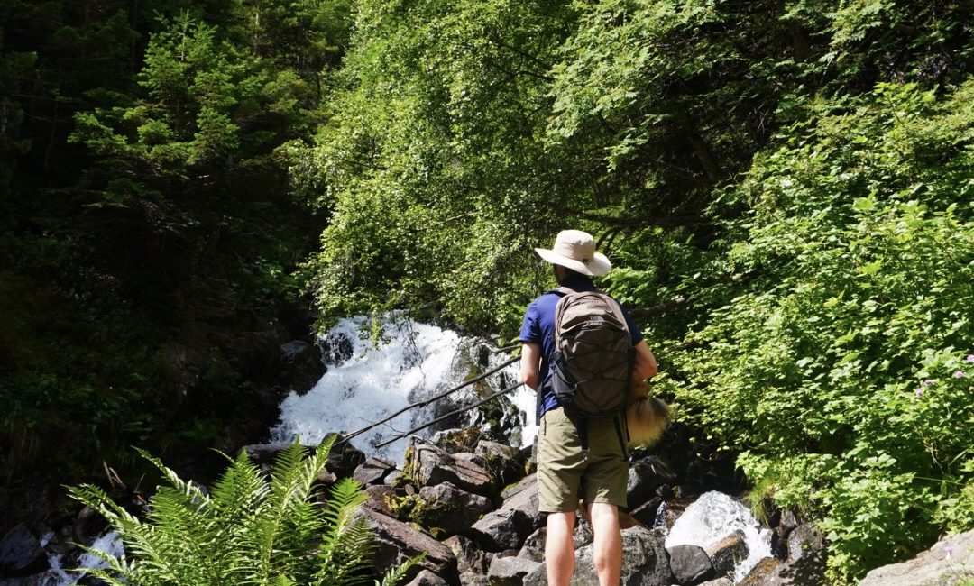 bosc del gerdar