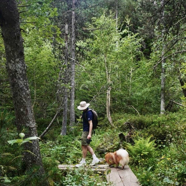 bosc del gerdar pallars sobirà