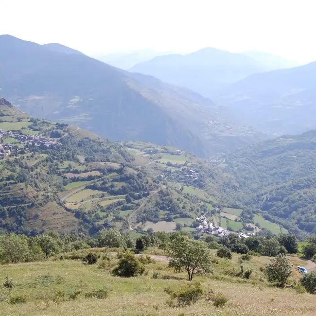 vall dàssua, sort