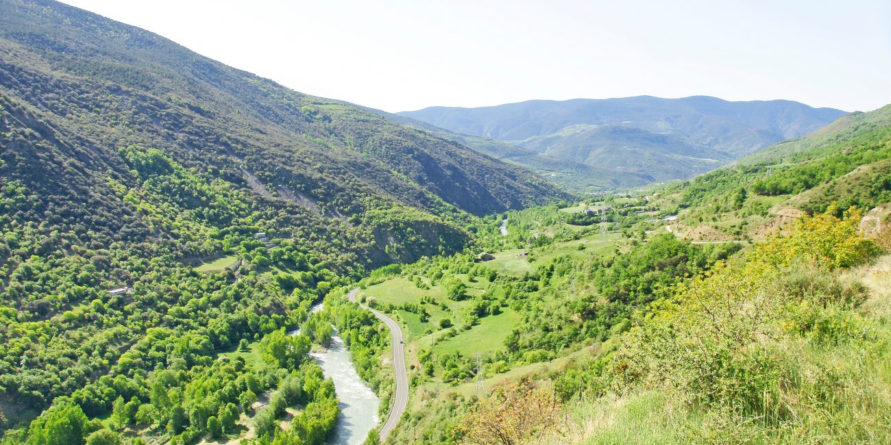 vall dàssua, sort