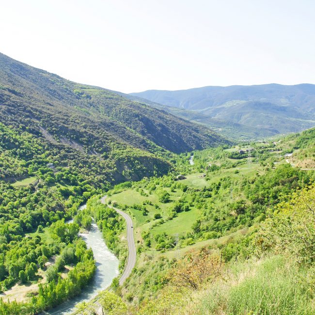vall dàssua, sort