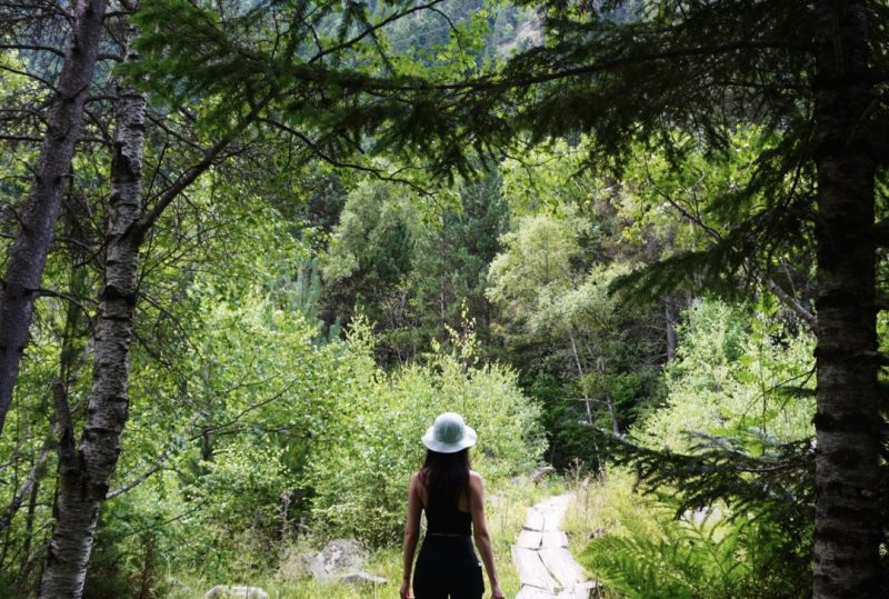 bosc del gerdar
