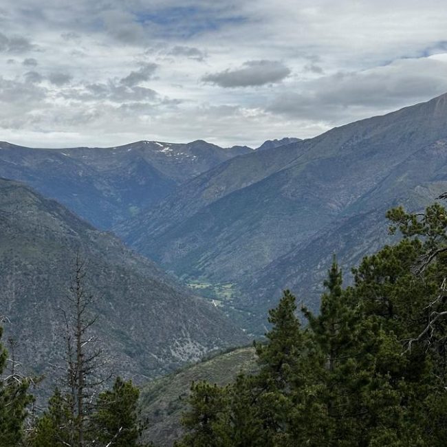 bosc de virós, lleida, cataluña