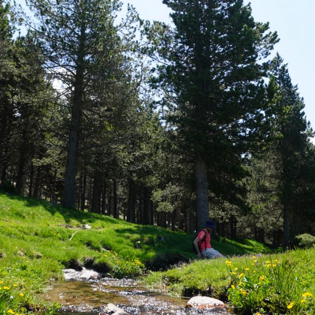 Refugi de Comes de Rubió