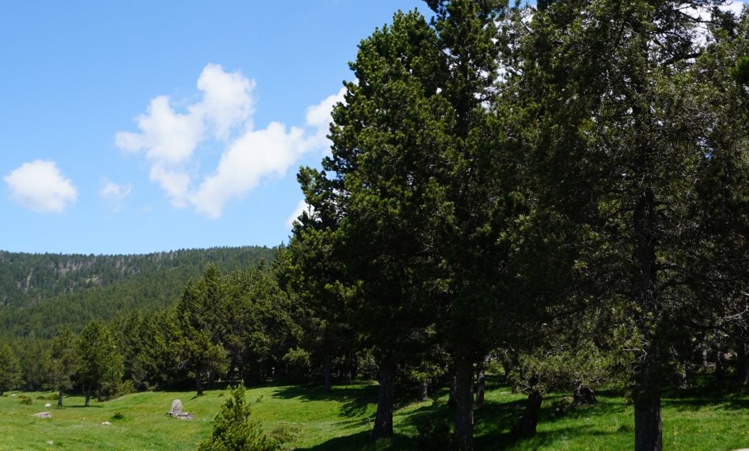 Refugi de Comes de Rubió