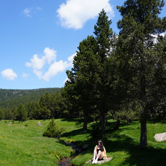 Refugi de Comes de Rubió