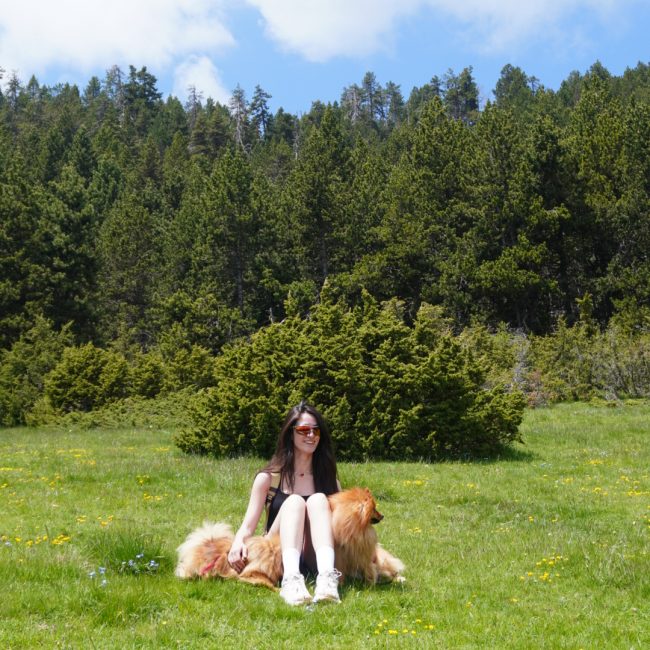 Refugi de Comes de Rubió