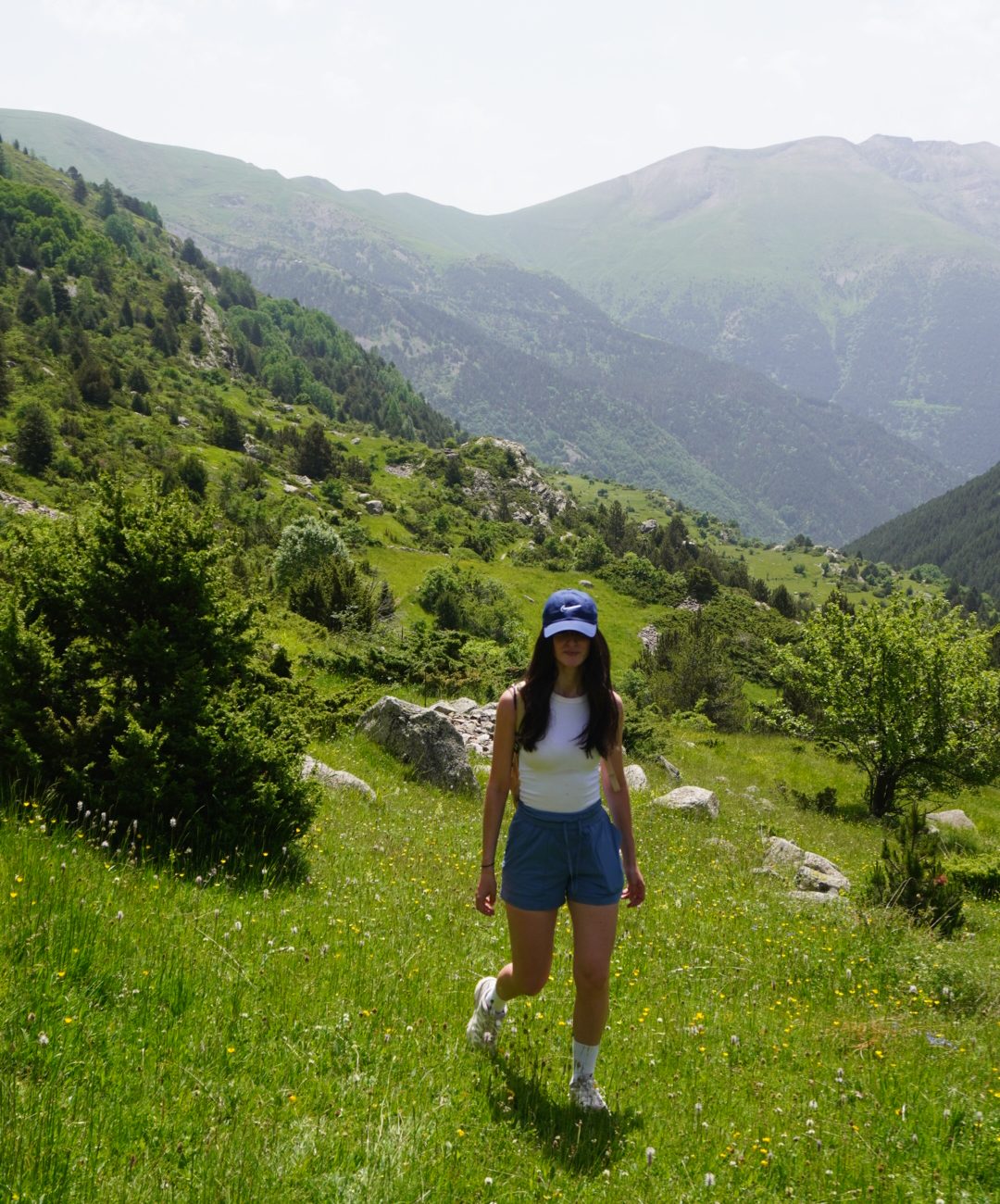 Jou, pallars sobirà