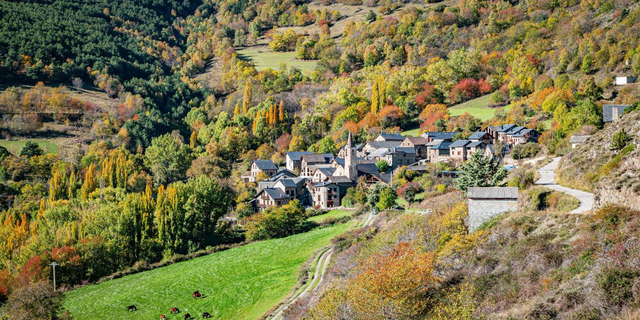 Jou, pallars sobirà
