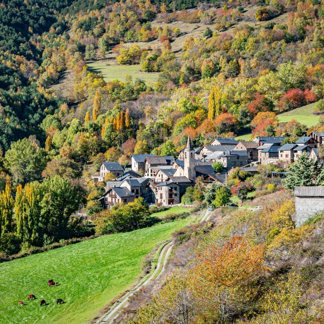 Jou, pallars sobirà