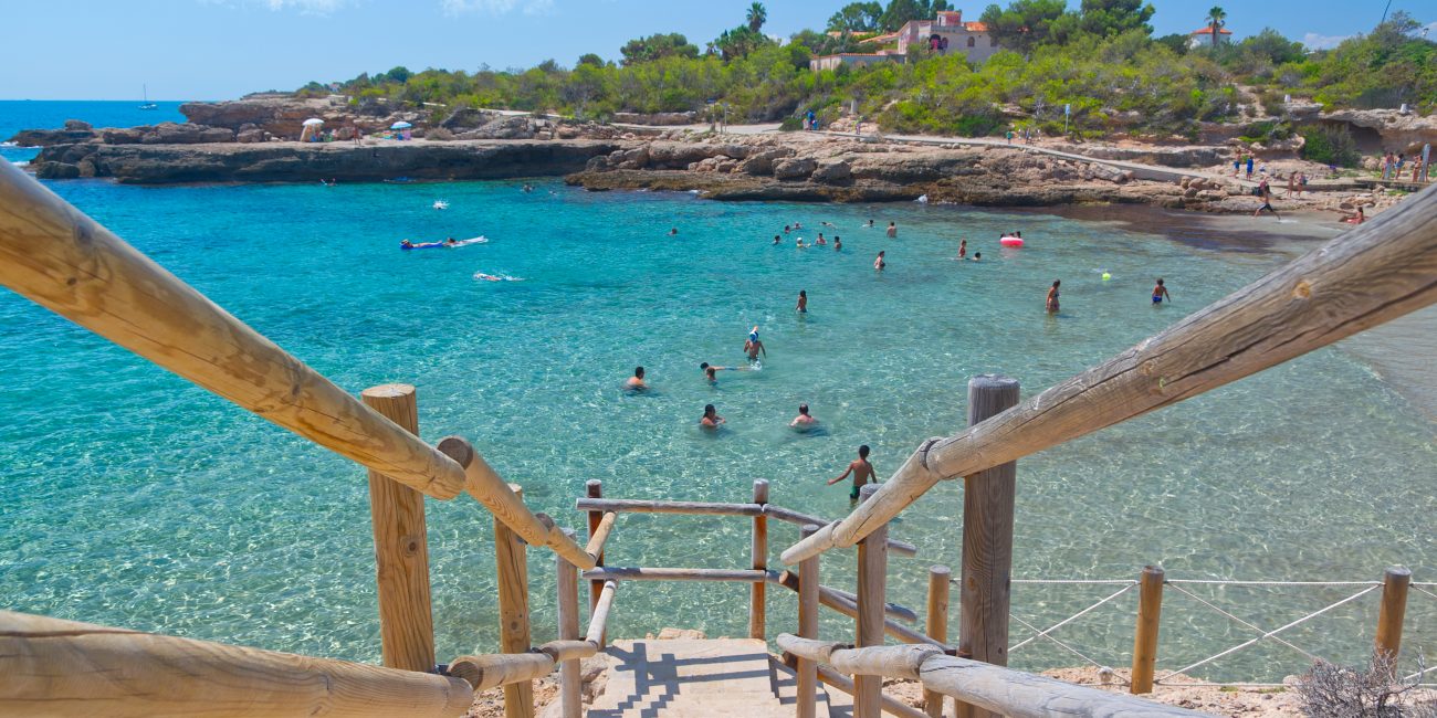 cala vidre