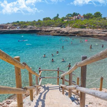 cala vidre